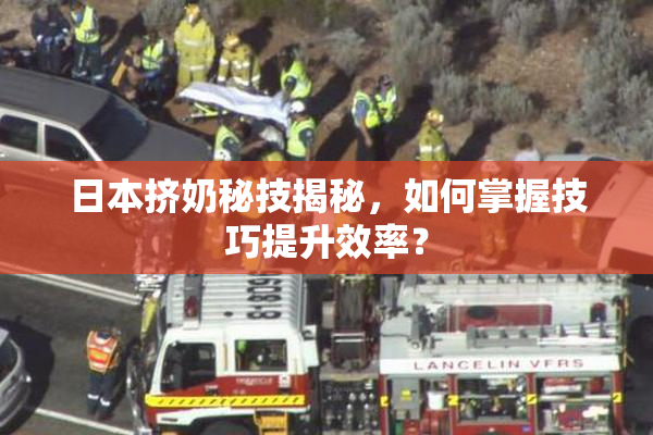 日本挤奶秘技揭秘，如何掌握技巧提升效率？