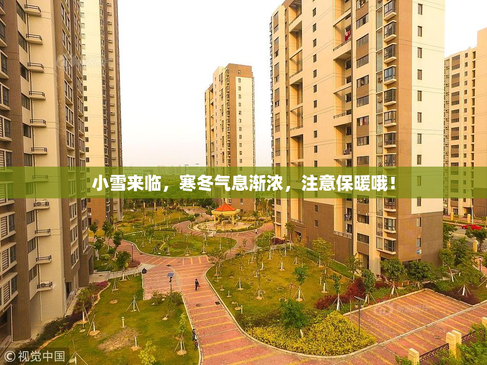 小雪来临，寒冬气息渐浓，注意保暖哦！