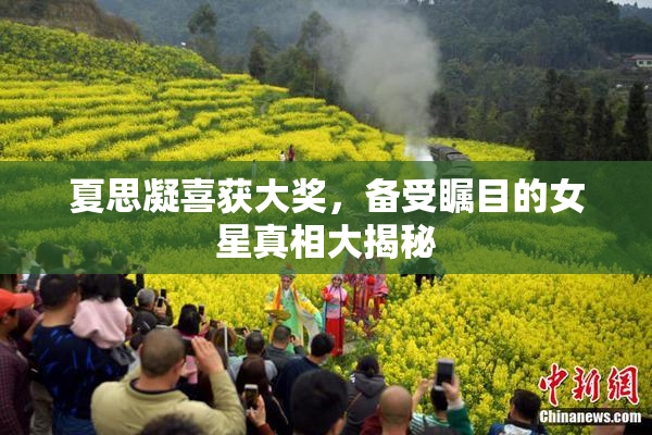 夏思凝喜获大奖，备受瞩目的女星真相大揭秘