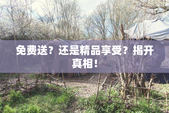 免费送？还是精品享受？揭开真相！