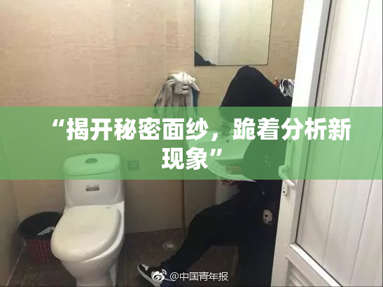 “揭开秘密面纱，跪着分析新现象”