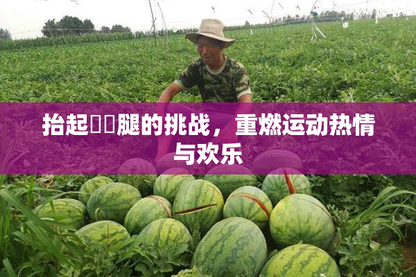 抬起妺妺腿的挑战，重燃运动热情与欢乐