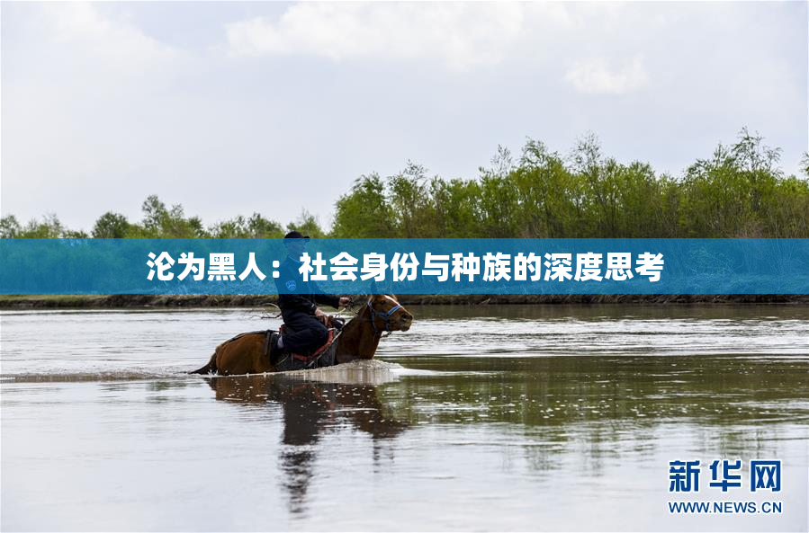 沦为黑人：社会身份与种族的深度思考
