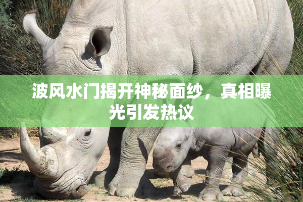 波风水门揭开神秘面纱，真相曝光引发热议