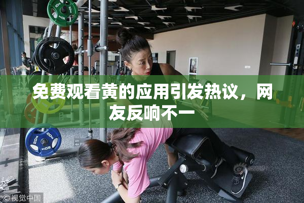 免费观看黄的应用引发热议，网友反响不一