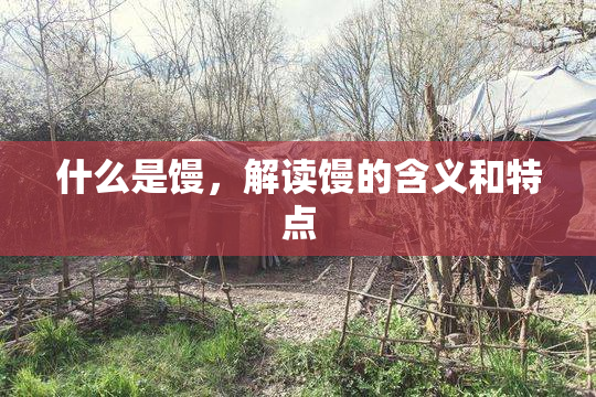 什么是馒，解读馒的含义和特点