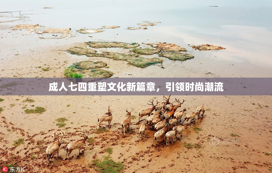 成人七四重塑文化新篇章，引领时尚潮流