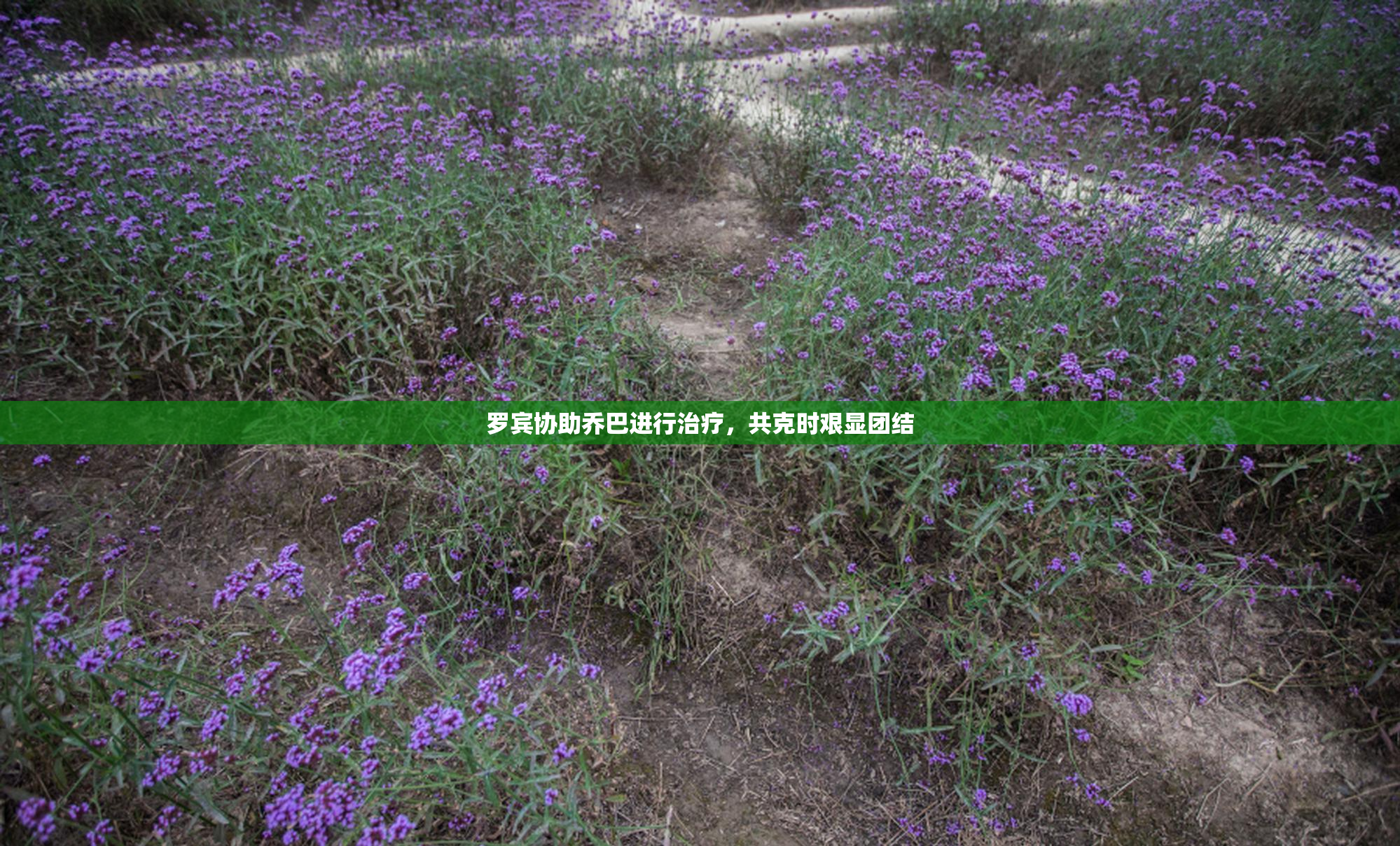 罗宾协助乔巴进行治疗，共克时艰显团结