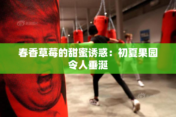 春香草莓的甜蜜诱惑：初夏果园令人垂涎