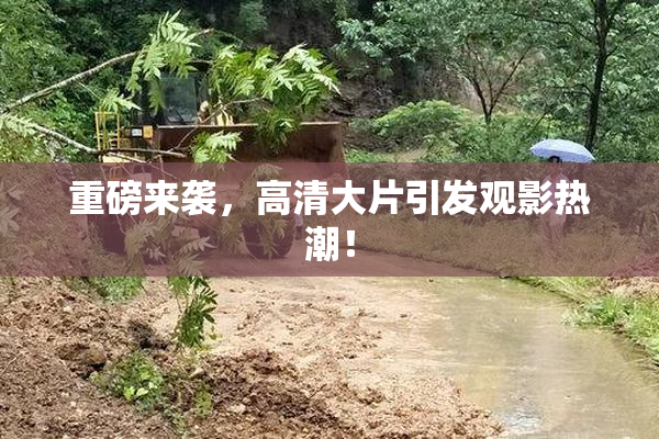 重磅来袭，高清大片引发观影热潮！
