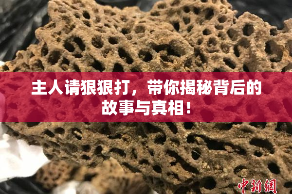 主人请狠狠打，带你揭秘背后的故事与真相！