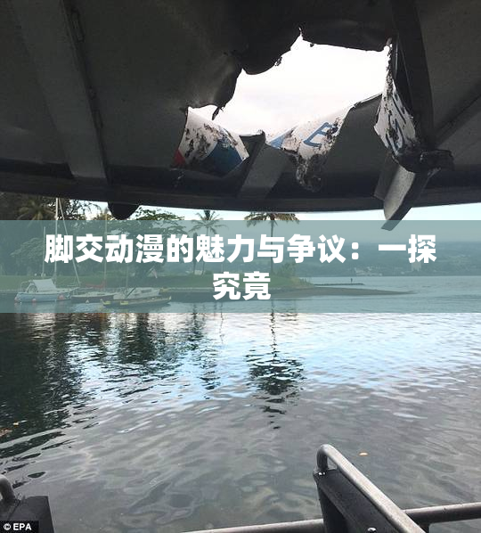 脚交动漫的魅力与争议：一探究竟