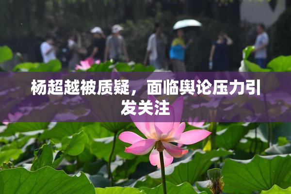 杨超越被质疑，面临舆论压力引发关注