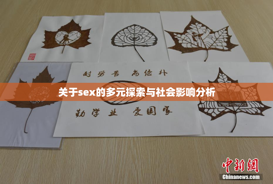 关于sex的多元探索与社会影响分析