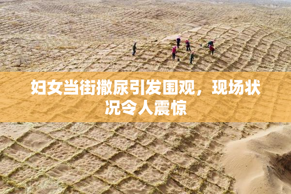妇女当街撒尿引发围观，现场状况令人震惊