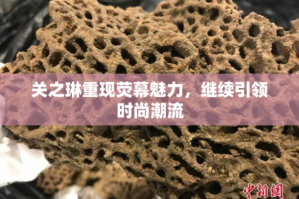 关之琳重现荧幕魅力，继续引领时尚潮流