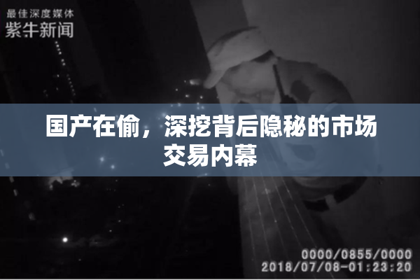 国产在偷，深挖背后隐秘的市场交易内幕
