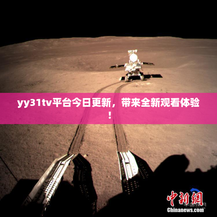 yy31tv平台今日更新，带来全新观看体验！