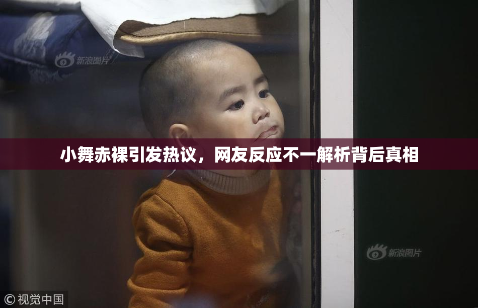 小舞赤裸引发热议，网友反应不一解析背后真相