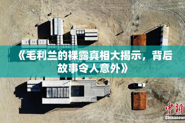 《毛利兰的裸露真相大揭示，背后故事令人意外》