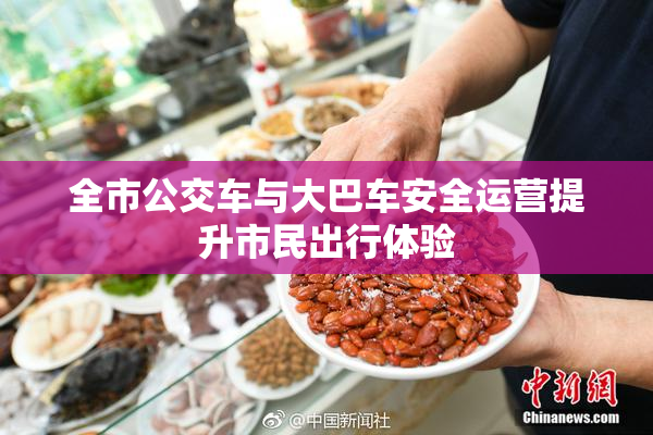 全市公交车与大巴车安全运营提升市民出行体验
