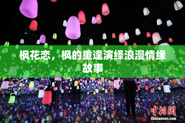 枫花恋，枫的重逢演绎浪漫情缘故事
