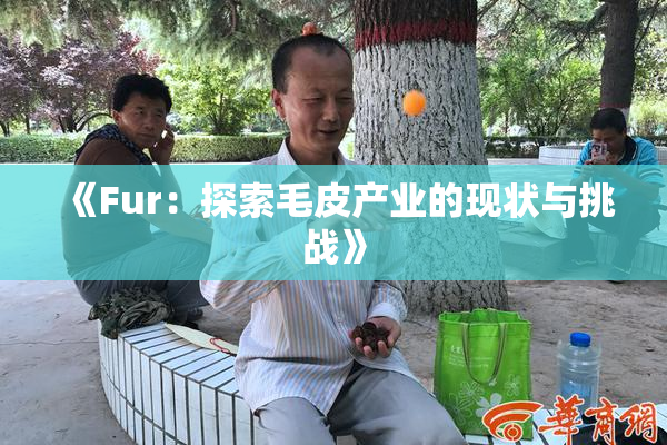 《Fur：探索毛皮产业的现状与挑战》