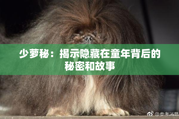 少萝秘：揭示隐藏在童年背后的秘密和故事