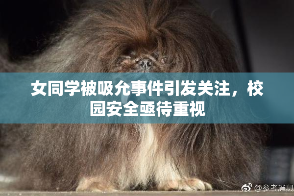 女同学被吸允事件引发关注，校园安全亟待重视