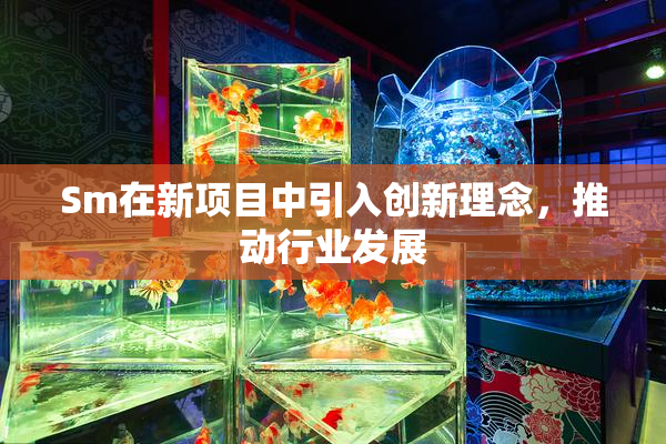 Sm在新项目中引入创新理念，推动行业发展