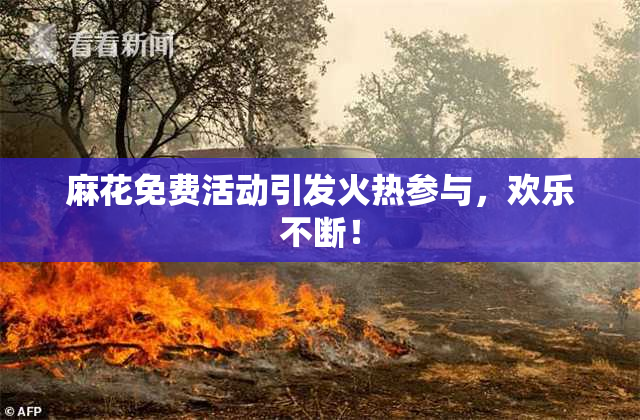 麻花免费活动引发火热参与，欢乐不断！