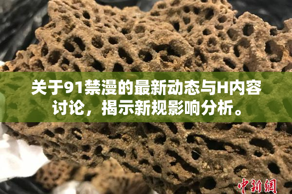 关于91禁漫的最新动态与H内容讨论，揭示新规影响分析。