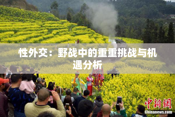 性外交：野战中的重重挑战与机遇分析