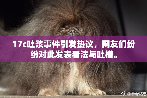 17c吐浆事件引发热议，网友们纷纷对此发表看法与吐槽。
