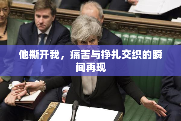 他撕开我，痛苦与挣扎交织的瞬间再现