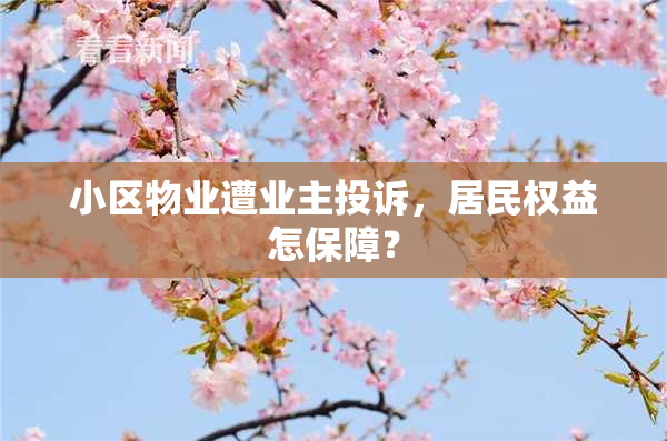 小区物业遭业主投诉，居民权益怎保障？