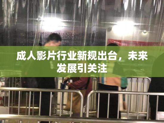 成人影片行业新规出台，未来发展引关注