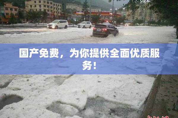 国产免费，为你提供全面优质服务！