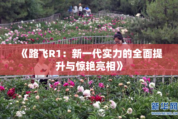 《路飞R1：新一代实力的全面提升与惊艳亮相》