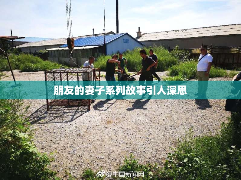朋友的妻子系列故事引人深思