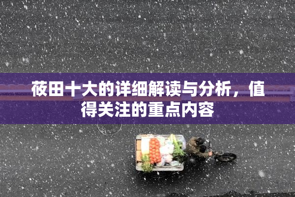 莜田十大的详细解读与分析，值得关注的重点内容