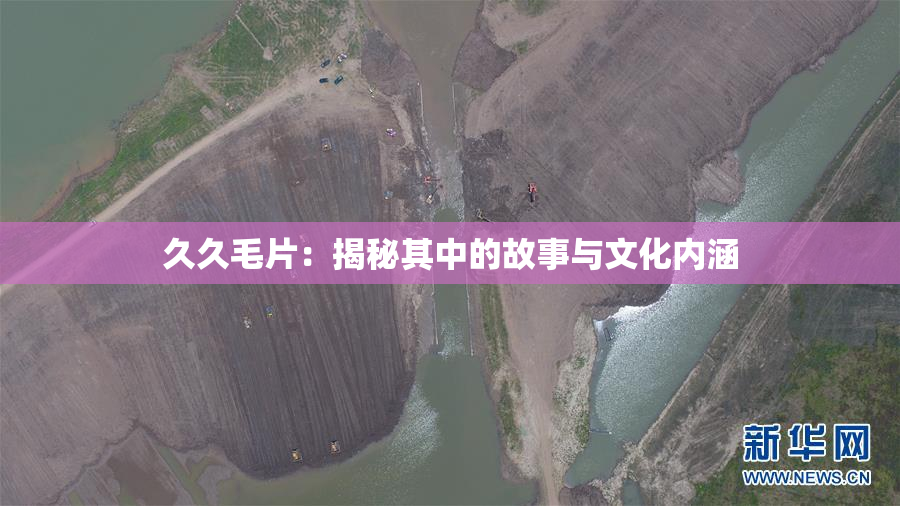 久久毛片：揭秘其中的故事与文化内涵