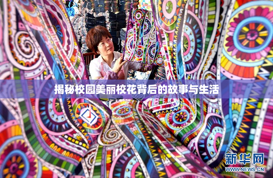 揭秘校园美丽校花背后的故事与生活