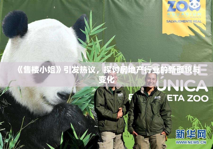 《售楼小姐》引发热议，探讨房地产行业的新面貌与变化
