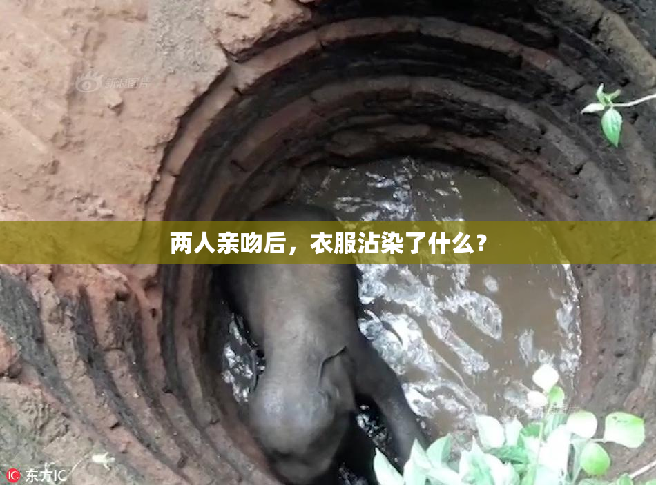 两人亲吻后，衣服沾染了什么？