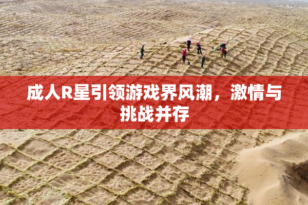 成人R星引领游戏界风潮，激情与挑战并存