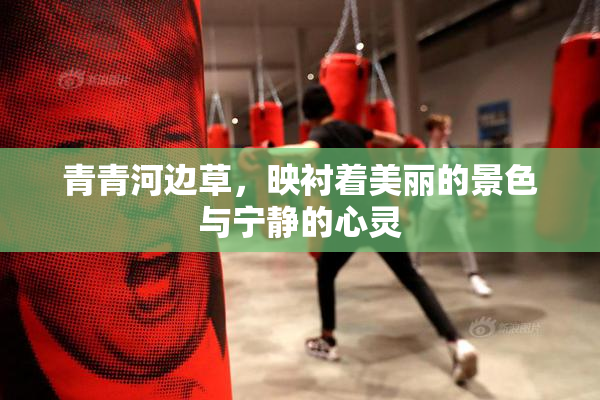 青青河边草，映衬着美丽的景色与宁静的心灵