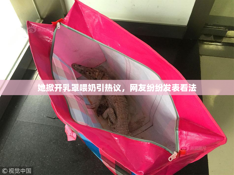 她掀开乳罩喂奶引热议，网友纷纷发表看法