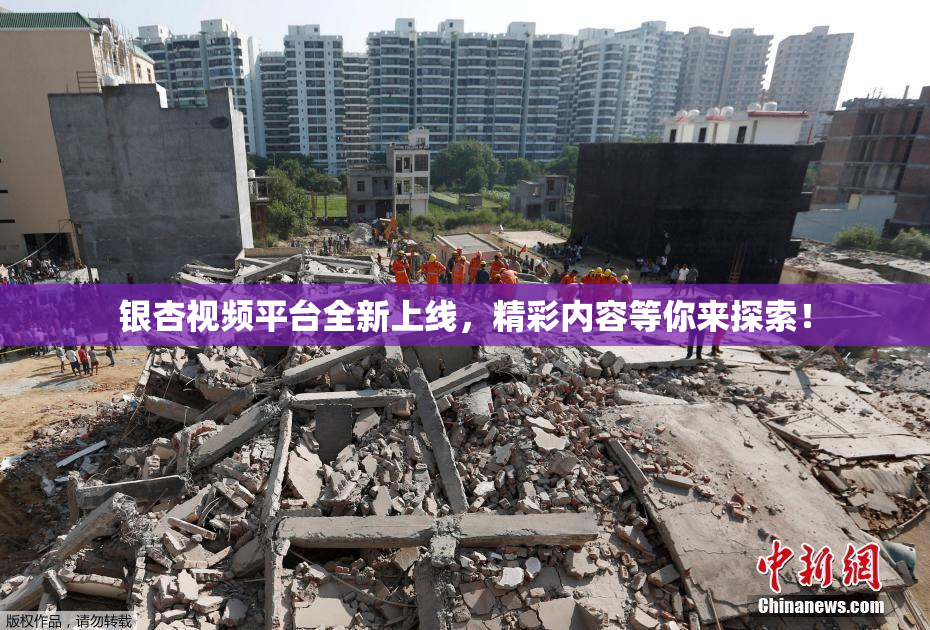 银杏视频平台全新上线，精彩内容等你来探索！