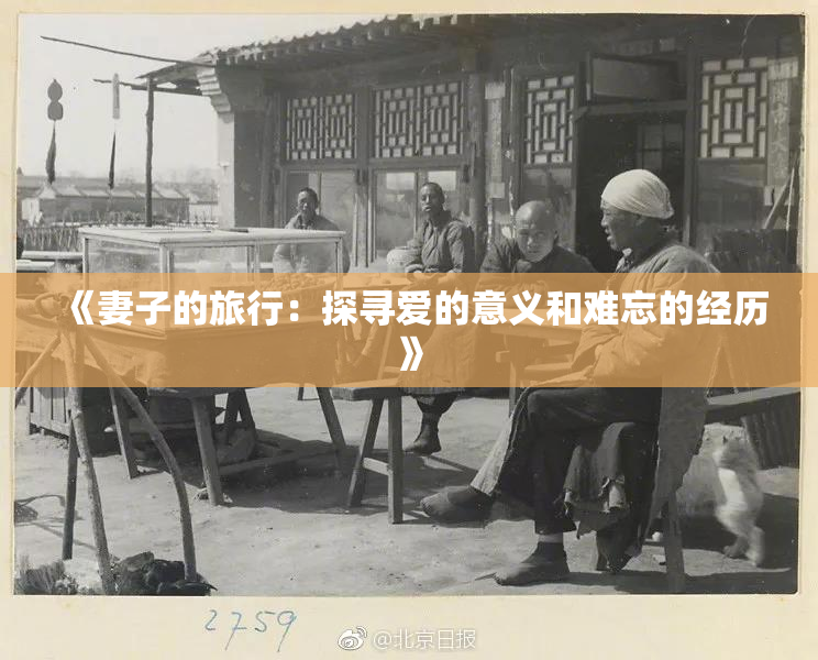 《妻子的旅行：探寻爱的意义和难忘的经历》